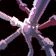 Steam-Hinge Chain of Valor