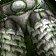 Desecrated Legguards