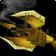 Legion Blunderbuss