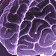 Brain of the Black Stalker